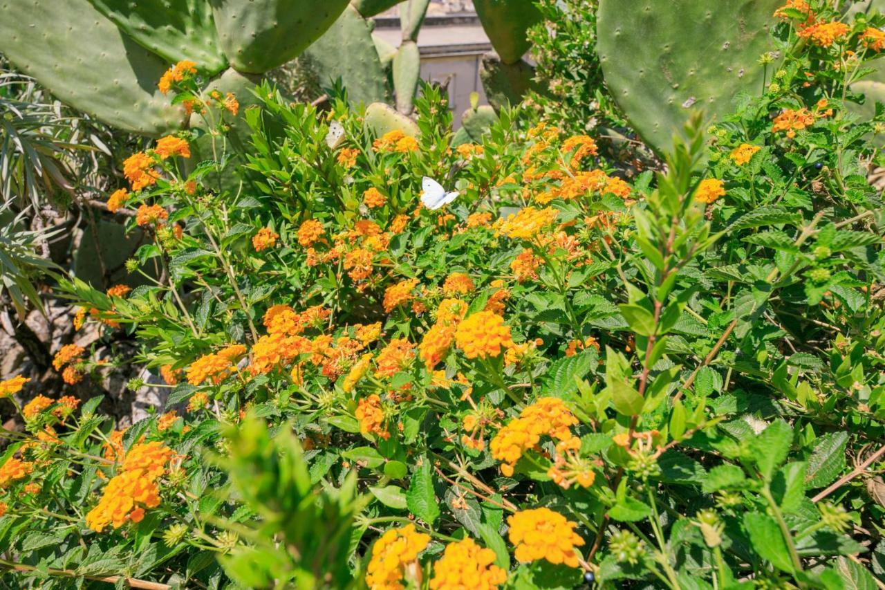 Trigona Garden Suite Ното Екстериор снимка